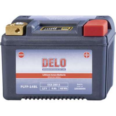 DELO-Lithium-Ion-Batterie-PLFP-14BL-400.jpg