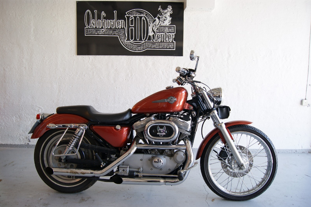 HD Sportster Petra 03.jpg