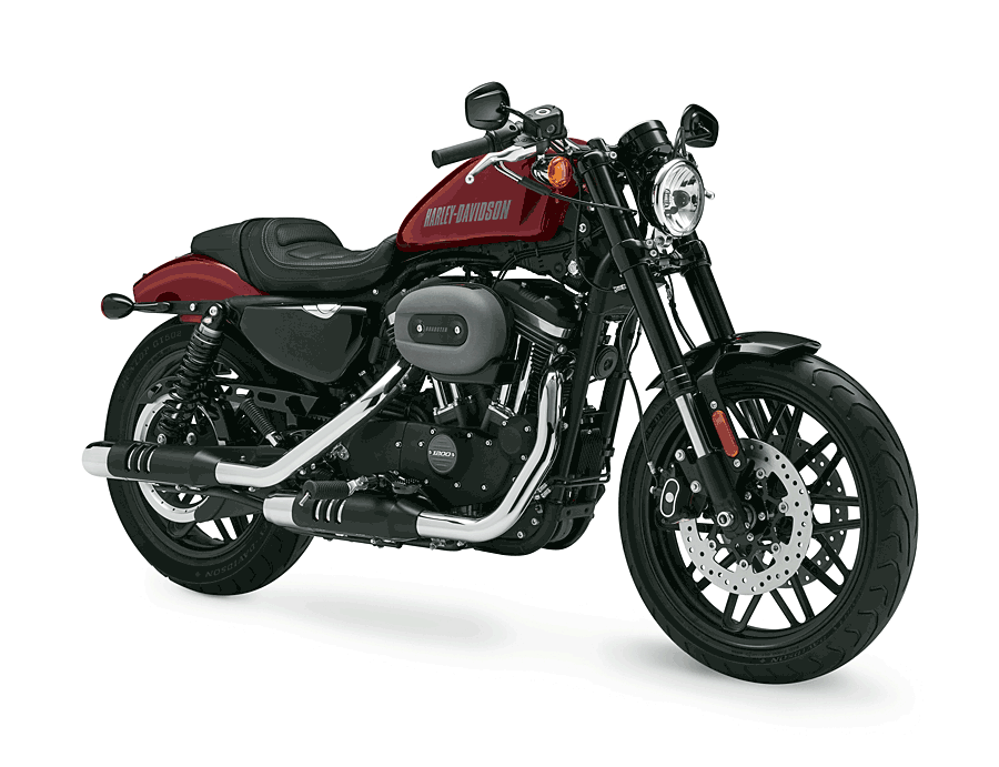 2016-Harley-Roadster XL1200CX.gif