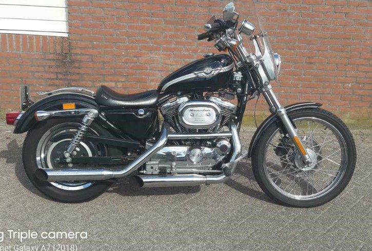 sportster SON 1.jpg