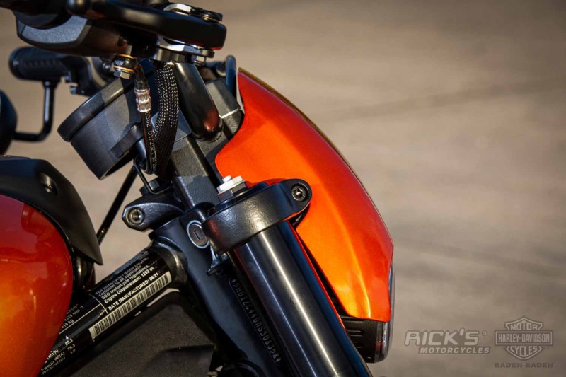 Harley-Davidson-Sportster-S-Ricks-Custombike-023.jpg